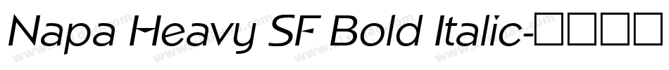 Napa Heavy SF Bold Italic字体转换